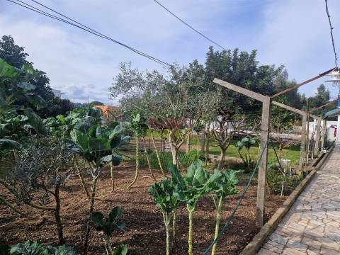 Quintinha T6 Venda em Nossa Senhora de Fátima,Entroncamento