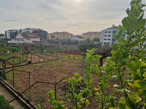 Quintinha T6 Venda em Nossa Senhora de Fátima,Entroncamento