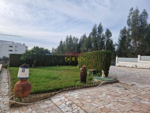 Quintinha T6 Venda em Nossa Senhora de Fátima,Entroncamento