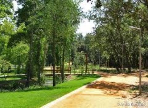 Terreno Urbano  Venda em Nossa Senhora de Fátima,Entroncamento