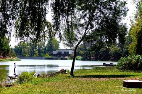 Terreno Urbano  Venda em Nossa Senhora de Fátima,Entroncamento