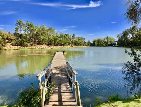 Terreno Urbano  Venda em Nossa Senhora de Fátima,Entroncamento