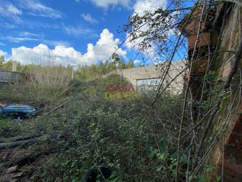 Lote de Terreno  Venda em Nossa Senhora de Fátima,Entroncamento