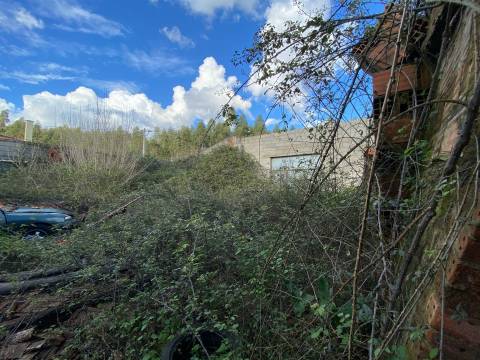 Lote de Terreno  Venda em Nossa Senhora de Fátima,Entroncamento