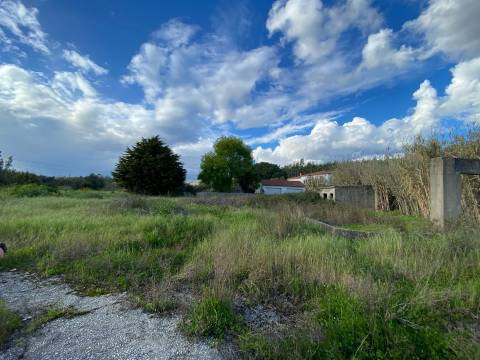 Lote de Terreno  Venda em Nossa Senhora de Fátima,Entroncamento