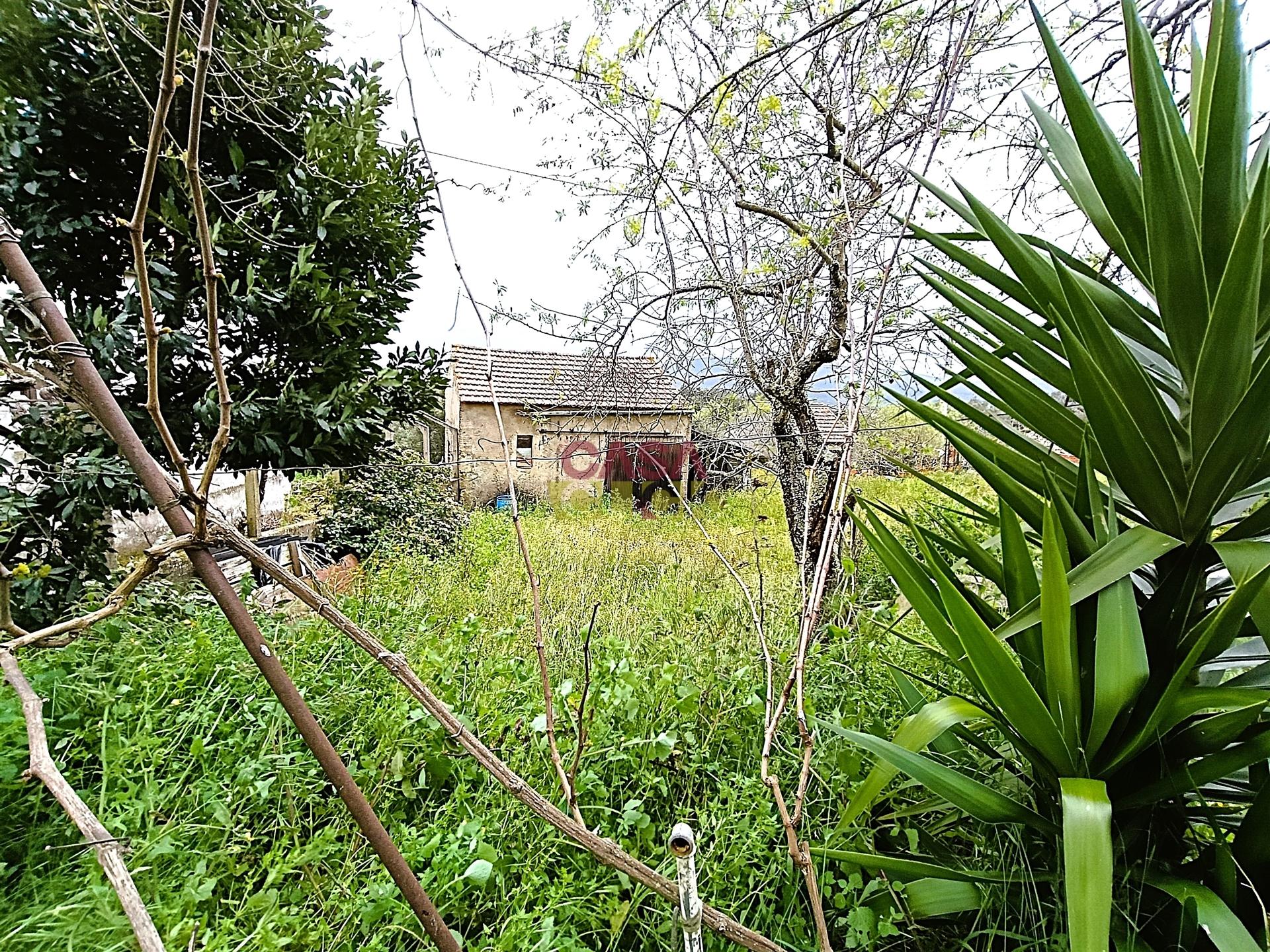 Moradia T3 Venda em Assentiz,Torres Novas