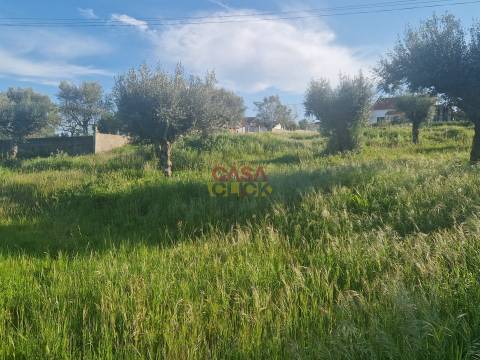 Terreno Para Construção T3 Venda em Asseiceira,Tomar