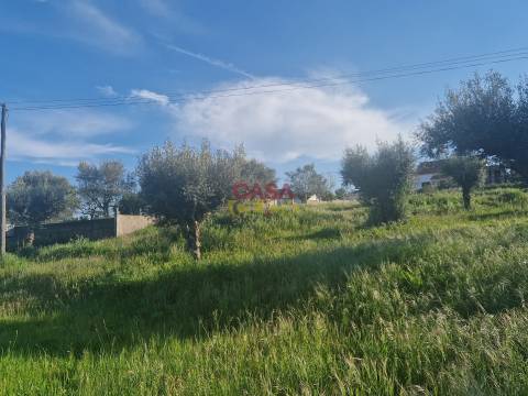 Loja  Venda em Asseiceira,Tomar