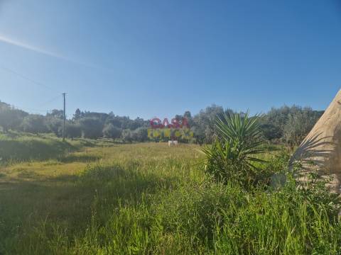 Loja  Venda em Asseiceira,Tomar