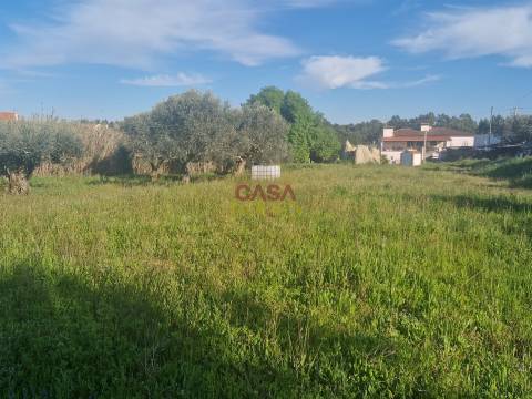 Loja  Venda em Asseiceira,Tomar