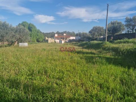 Loja  Venda em Asseiceira,Tomar
