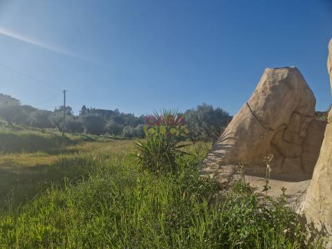 Loja  Venda em Asseiceira,Tomar