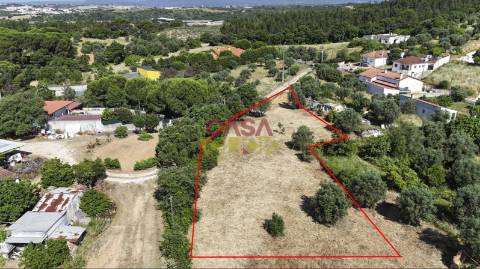 Terreno Urbano  Venda em Meia Via,Torres Novas