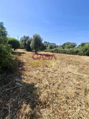 Terreno Urbano  Venda em Meia Via,Torres Novas