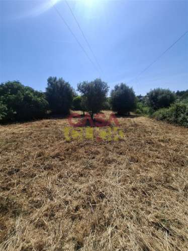 Terreno Urbano  Venda em Meia Via,Torres Novas