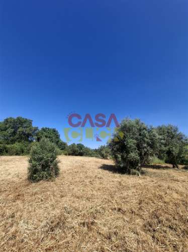 Terreno Urbano  Venda em Meia Via,Torres Novas