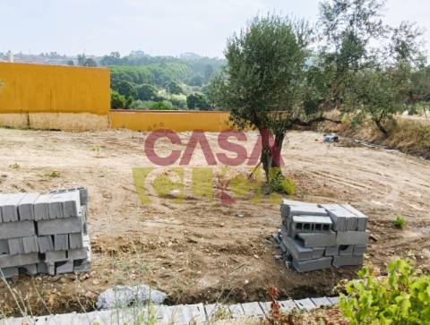 Lote de Terreno  Venda em São Pedro de Tomar,Tomar