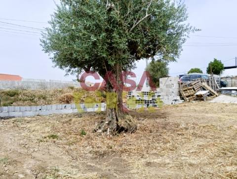 Lote de Terreno  Venda em São Pedro de Tomar,Tomar