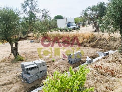 Lote de Terreno  Venda em São Pedro de Tomar,Tomar