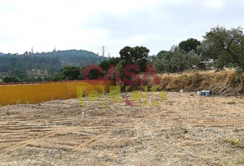 Lote de Terreno  Venda em São Pedro de Tomar,Tomar