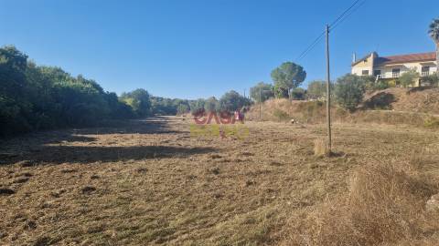 Moradia T6 Venda em Alcanena e Vila Moreira,Alcanena