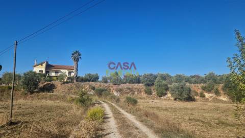 Moradia T6 Venda em Alcanena e Vila Moreira,Alcanena