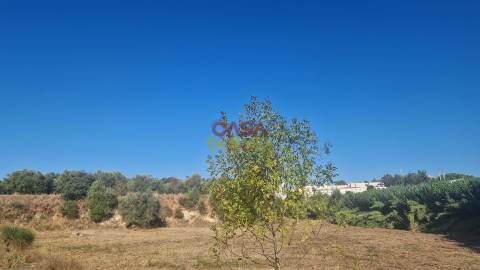 Moradia T6 Venda em Alcanena e Vila Moreira,Alcanena