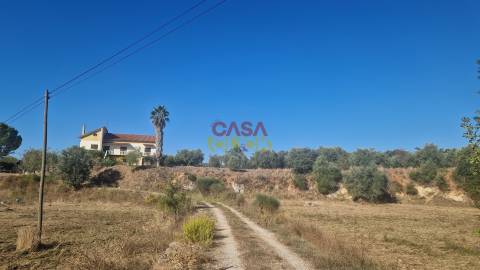 Moradia T6 Venda em Alcanena e Vila Moreira,Alcanena