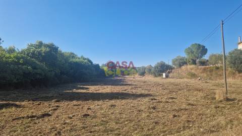 Moradia T6 Venda em Alcanena e Vila Moreira,Alcanena