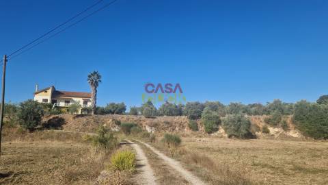 Moradia T6 Venda em Alcanena e Vila Moreira,Alcanena