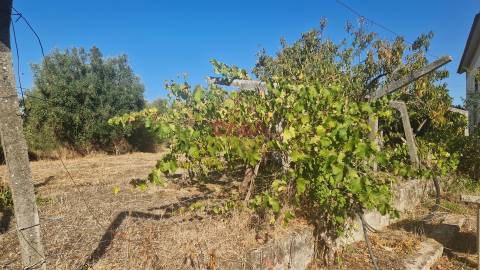 Moradia T6 Venda em Alcanena e Vila Moreira,Alcanena