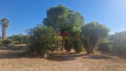 Moradia T6 Venda em Alcanena e Vila Moreira,Alcanena