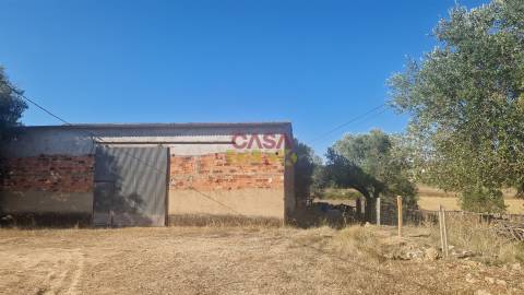 Moradia T6 Venda em Alcanena e Vila Moreira,Alcanena