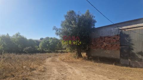 Moradia T6 Venda em Alcanena e Vila Moreira,Alcanena