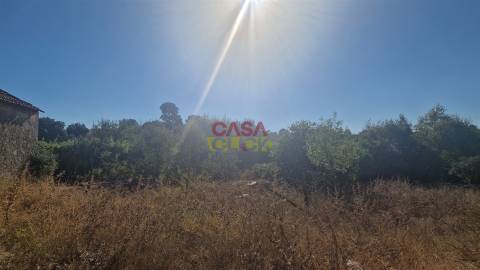 Moradia T6 Venda em Alcanena e Vila Moreira,Alcanena