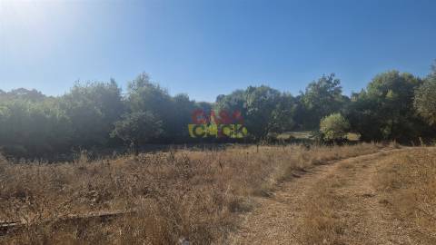 Moradia T6 Venda em Alcanena e Vila Moreira,Alcanena