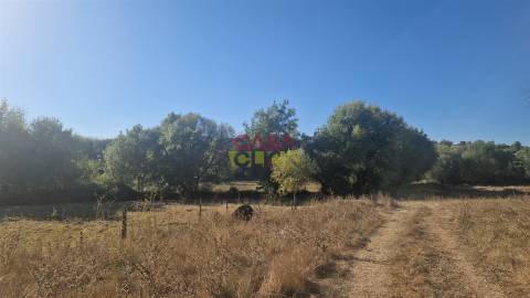 Moradia T6 Venda em Alcanena e Vila Moreira,Alcanena