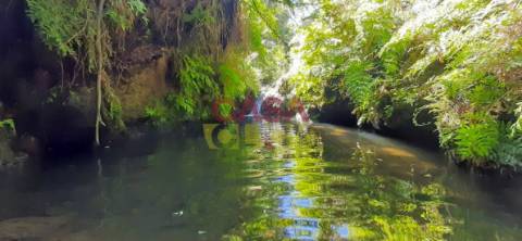 Moradia T3 Venda em Cardigos,Mação