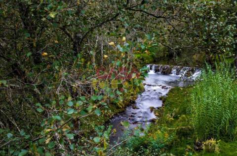 Moradia T3 Venda em Cardigos,Mação