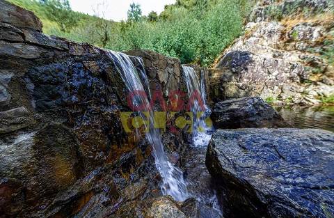 Moradia T3 Venda em Cardigos,Mação