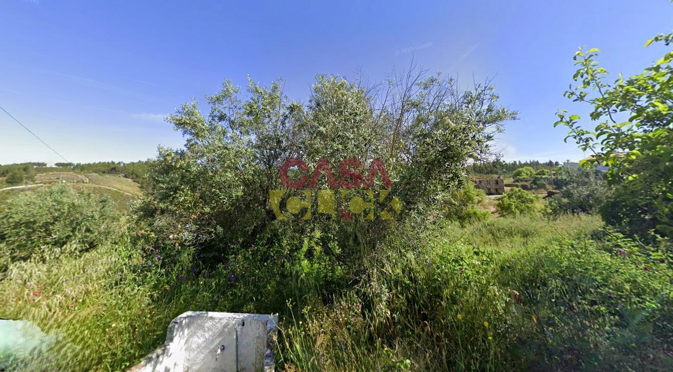 Terreno Rústico  Venda em Cardigos,Mação