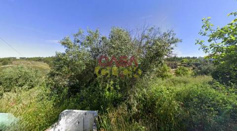 Terreno Rústico  Venda em Cardigos,Mação