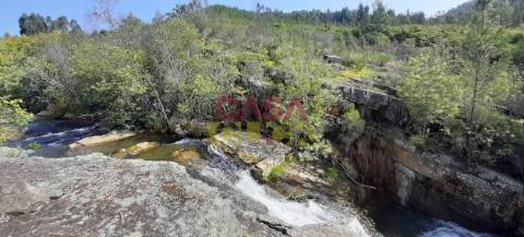 Terreno Rústico  Venda em Cardigos,Mação