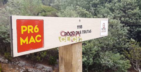 Terreno Rústico  Venda em Cardigos,Mação