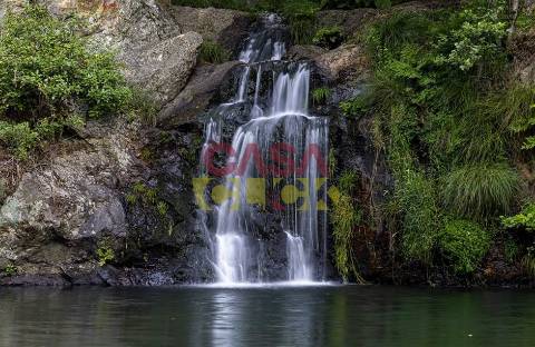Terreno Rústico  Venda em Cardigos,Mação