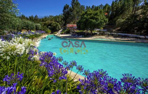 Terreno Rústico  Venda em Cardigos,Mação
