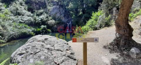 Terreno Rústico  Venda em Cardigos,Mação