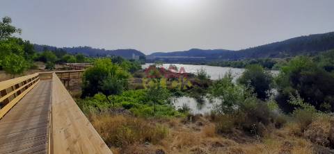 Terreno Rústico  Venda em Cardigos,Mação