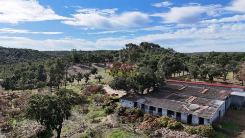 Quinta T6 Venda em Bemposta,Abrantes