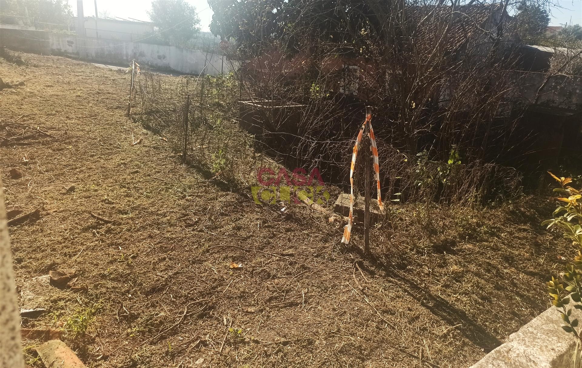 Moradia Devoluta T3 Venda em Torres Novas (São Pedro), Lapas e Ribeira Branca,Torres Novas